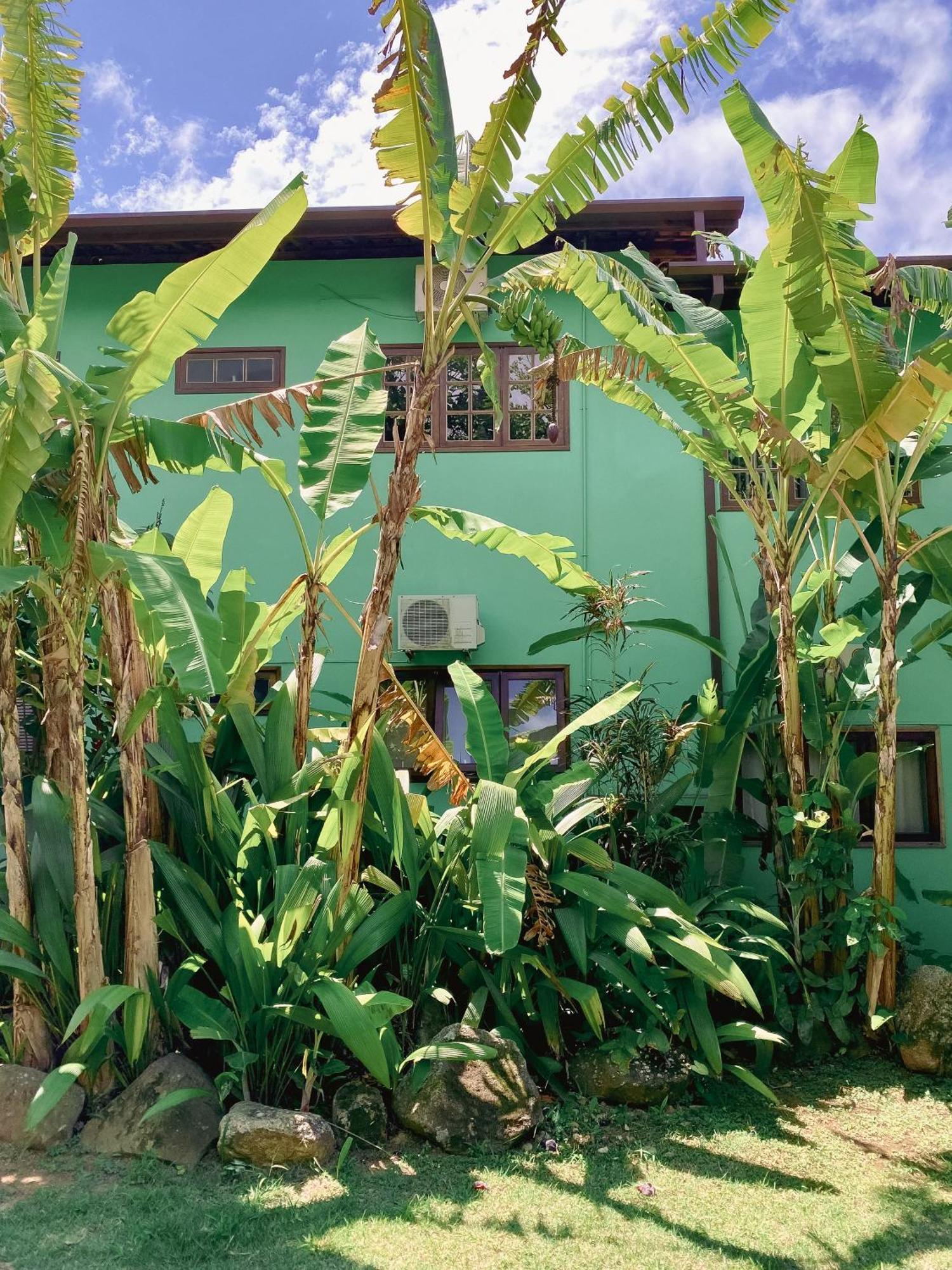 Bed & Breakfast Banana Ilhabela