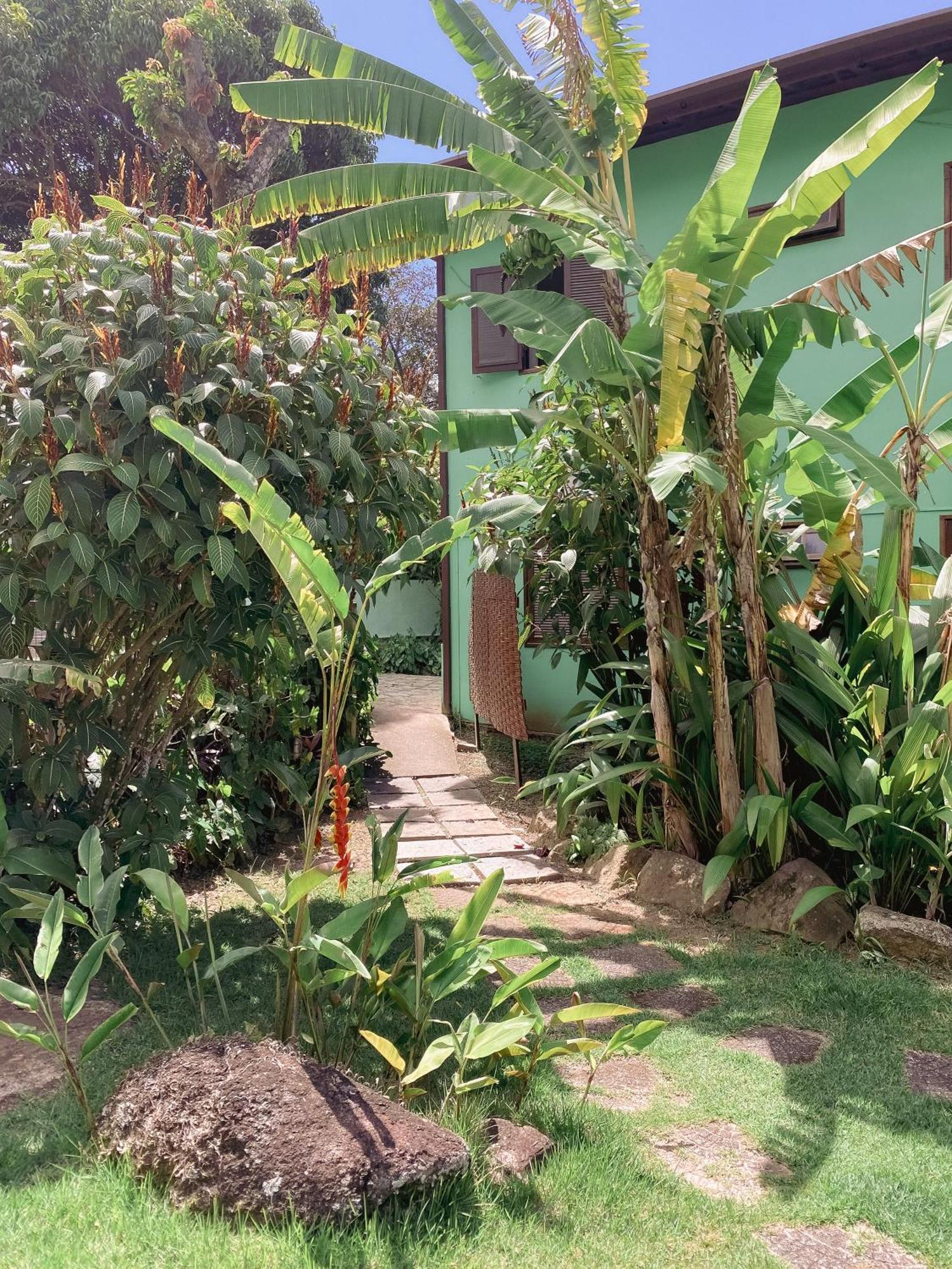 Banana Ilhabela